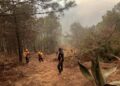 Sofocan incendio en Vicente Guerrero en un 90%