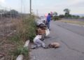 Atropella a abuelito, solo pagó una  multa y fue liberada en Santiago Miahuatlán