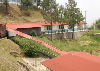 Tras asaltos consecutivos, granja porcícola de Tepanco de López podría cerrar