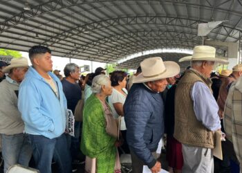 Exhortan a agricultores a reportar daños por las lluvias ante la SDR
