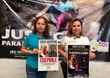 Ejecutan a dos en Tepanco de López y hieren a mujer
