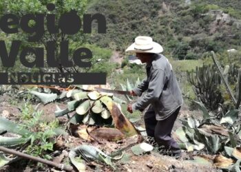 Resulta con quemaduras de tercer grado tras incendiarse una panadería en Tehuacán